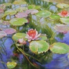 Water lilies